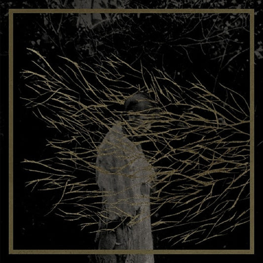 Forest Swords : Engravings (2x12", Album)