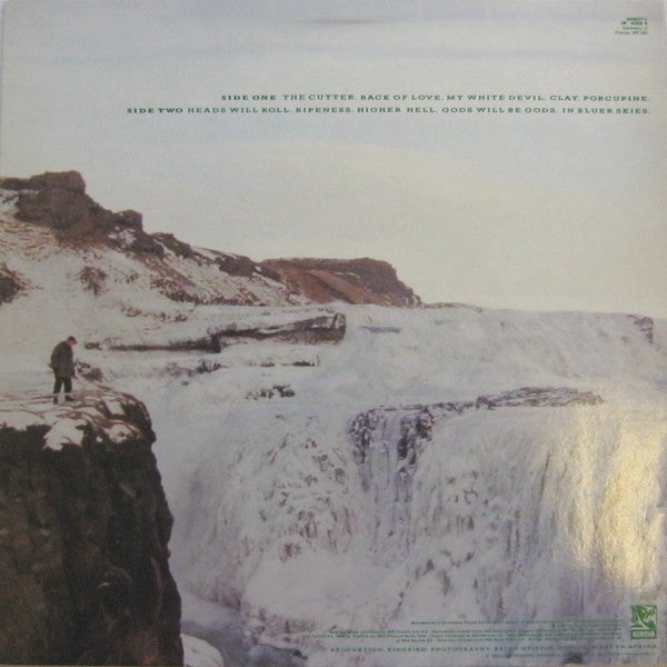 Echo & The Bunnymen : Porcupine (LP, Album)