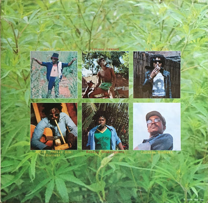 Peter Tosh : Legalize It (LP, Album, Ter)