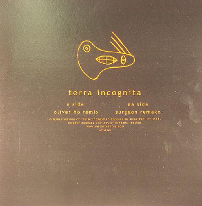 Oliver Ho : Terra Incognita (12")