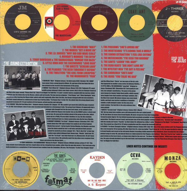 Various : You Treated Me Bad! (The Teener Side Of The Mid 60's Garage Explosion) (LP, Comp, RP)