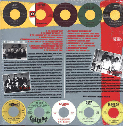 Various : You Treated Me Bad! (The Teener Side Of The Mid 60's Garage Explosion) (LP, Comp, RP)