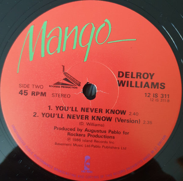 Delroy Williams : Stop The Fighting / You'll Never Know (12")