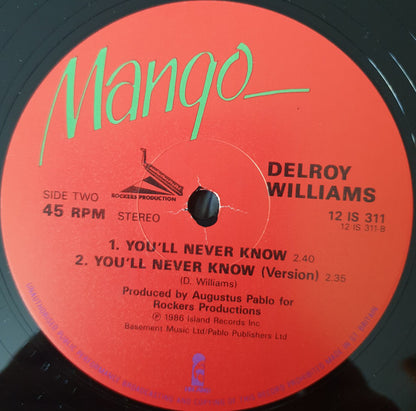 Delroy Williams : Stop The Fighting / You'll Never Know (12")