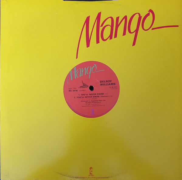 Delroy Williams : Stop The Fighting / You'll Never Know (12")