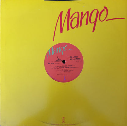 Delroy Williams : Stop The Fighting / You'll Never Know (12")
