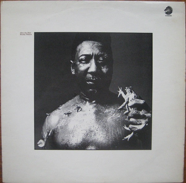 Muddy Waters : After The Rain (LP, Album)
