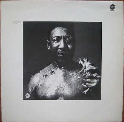 Muddy Waters : After The Rain (LP, Album)
