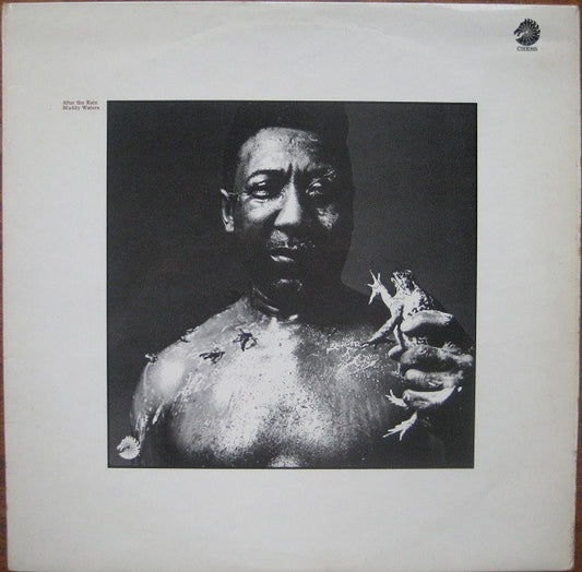 Muddy Waters : After The Rain (LP, Album)