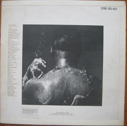 Muddy Waters : After The Rain (LP, Album)