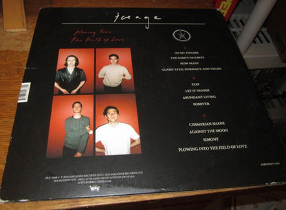 Iceage : Plowing Into The Field Of Love (LP + LP, S/Sided + Album)