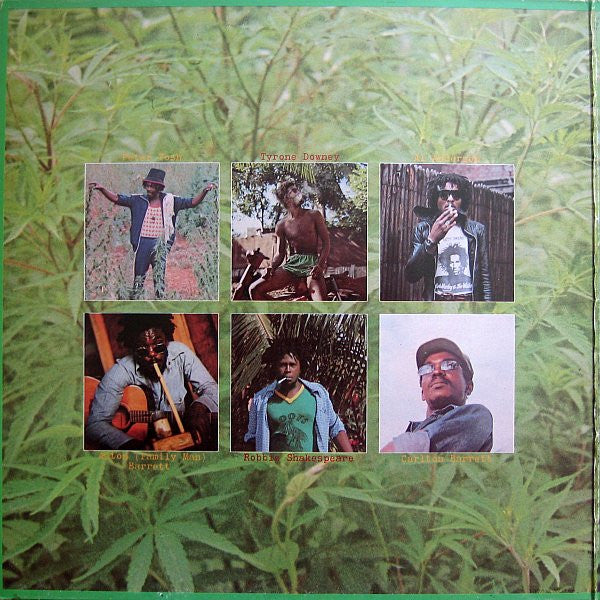 Peter Tosh : Legalize It (LP, Album, Gat)