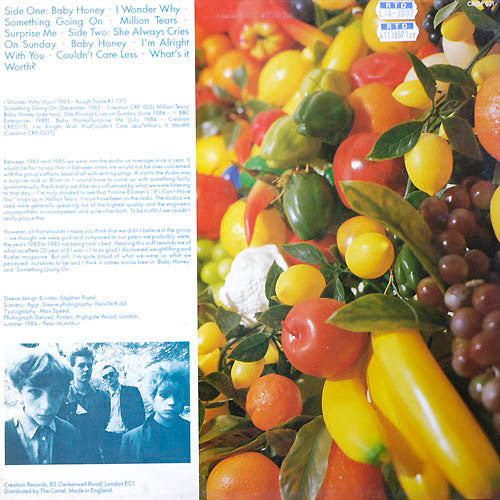 The Pastels : Suck On (Retrogressive 1983-1985) (LP, Comp)