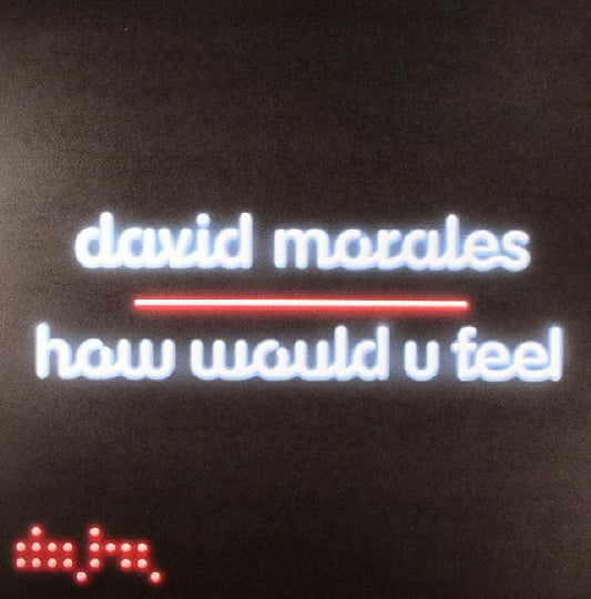 David Morales : How Would U Feel (12")