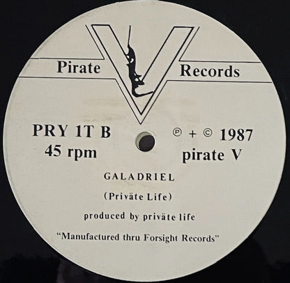 Private Life (5) : Time To Hide / Galadriel (12")