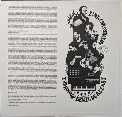 Badly Drawn Boy : The Hour Of Bewilderbeast (2xLP, Album, RE)