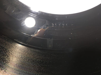 The Cat Empire : Rising With The Sun (2xLP, Album)