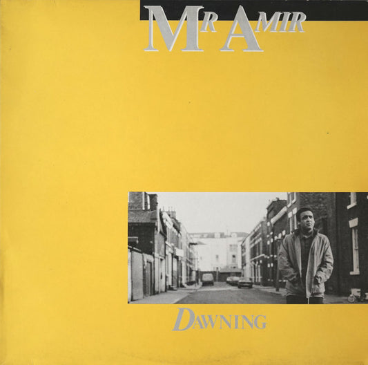 Mr Amir : Dawning (LP, Album)