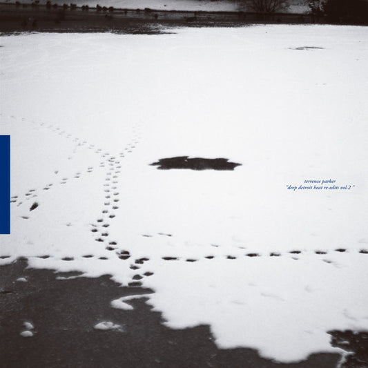 Terrence Parker : Deep Detroit Heat Re-edits Vol.2 (12")