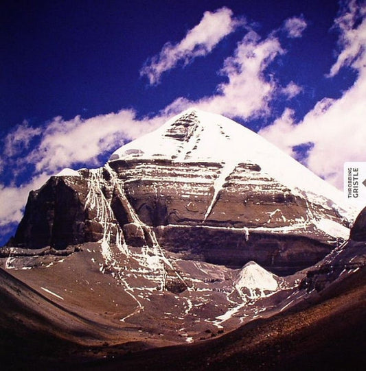 Throbbing Gristle : Part Two - The Endless Not (2xLP, Album)