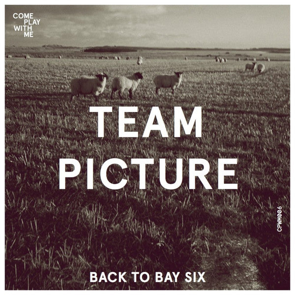 Team Picture / Laminate Pet Animal : Back To Bay Six / Eve (7", Single)