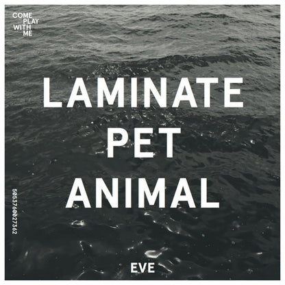 Team Picture / Laminate Pet Animal : Back To Bay Six / Eve (7", Single)