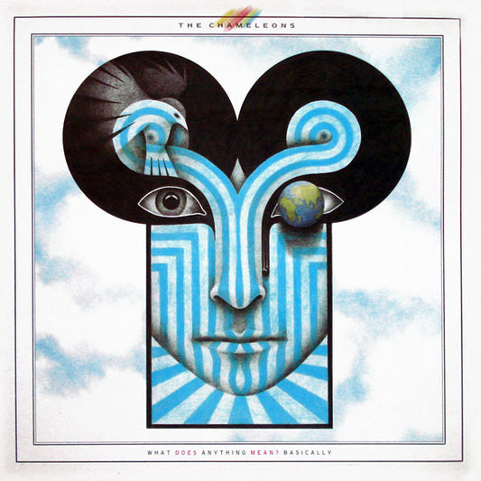 The Chameleons : What Does Anything Mean?  Basically (LP, Album, Ltd, Gat)