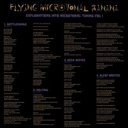 King Gizzard And The Lizard Wizard : Flying Microtonal Banana (Explorations Into Microtonal Tuning Volume 1) (LP, Album, Ltd, Yel)