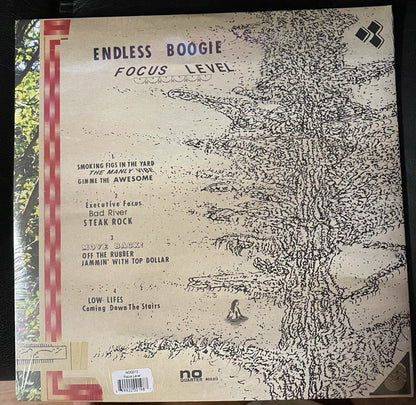 Endless Boogie : Focus Level (2xLP, Album, RP)