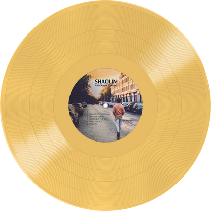 ￼Anderson Tombini -  Shaolin (LP) (M / M)