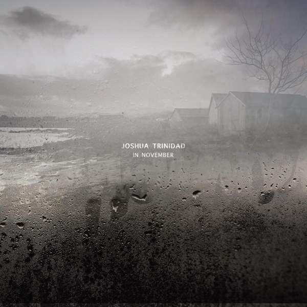 Joshua Trinidad : In November (CD, Album)