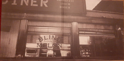 Blind Melon : Soup (LP, Album, RE, 180)