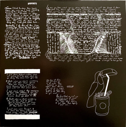 Catfish And The Bottlemen : The Balance  (LP, Album)
