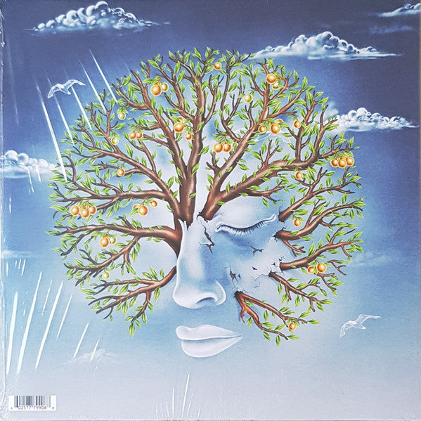 Another Sky : Forget Yourself EP / Life Was Coming in Through The Blinds EP (12", EP)