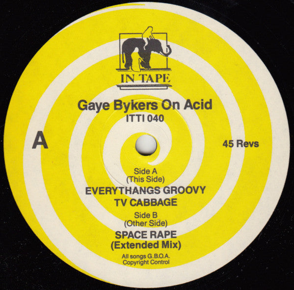 Gaye Bykers On Acid : Everythangs Groovy (12", Single)