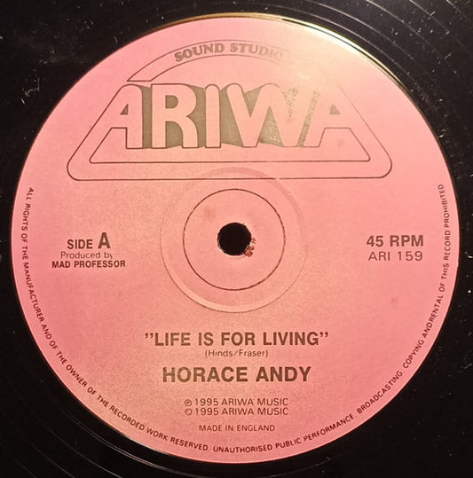 Horace Andy : Life Is For Living / The System Is A Fraud (12", Maxi)