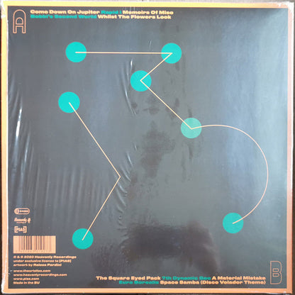 The Orielles : Disco Volador (LP, Album)