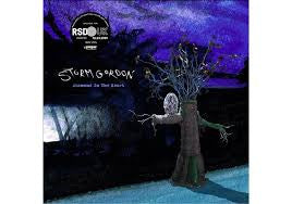 Storm Gordon : Diamond In The Heart (LP, EP, RSD)