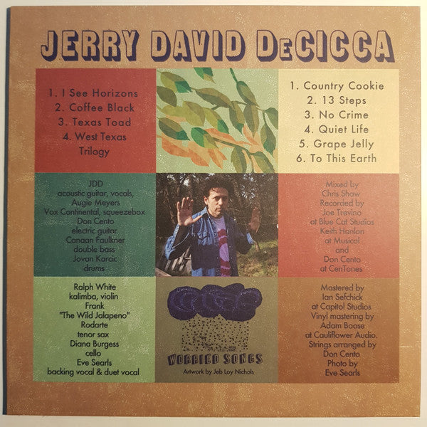 Jerry DeCicca : The Unlikely Optimist And His Domestic Adventures (LP, Album)