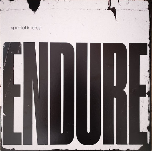 Special Interest (2) : Endure (LP, Ltd, Yel)