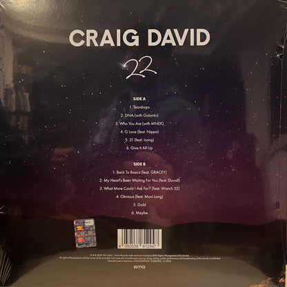 Craig David : 22 (LP, Album)