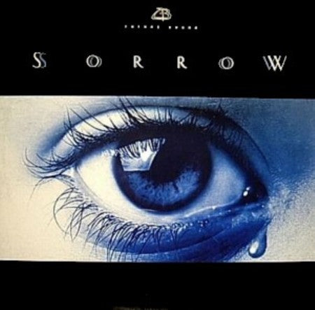 Future Bound : Sorrow / Liquid Groove (12")