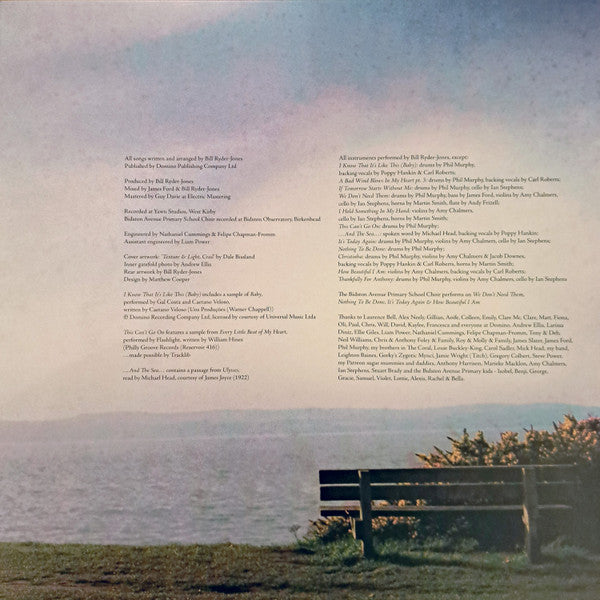 Bill Ryder-Jones : Iechyd Da (LP, Album, Gat)