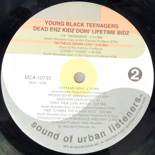 Young Black Teenagers : Dead Enz Kidz Doin' Lifetime Bidz (LP, Album)
