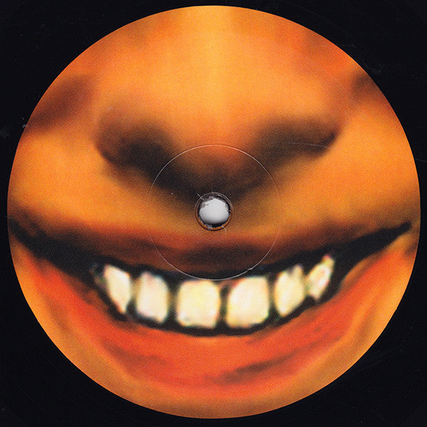 Aphex Twin : ...I Care Because You Do (2xLP, Album, RE, 180)