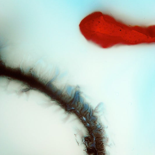 Stubborn Heart : Stubborn Heart (LP, Album)