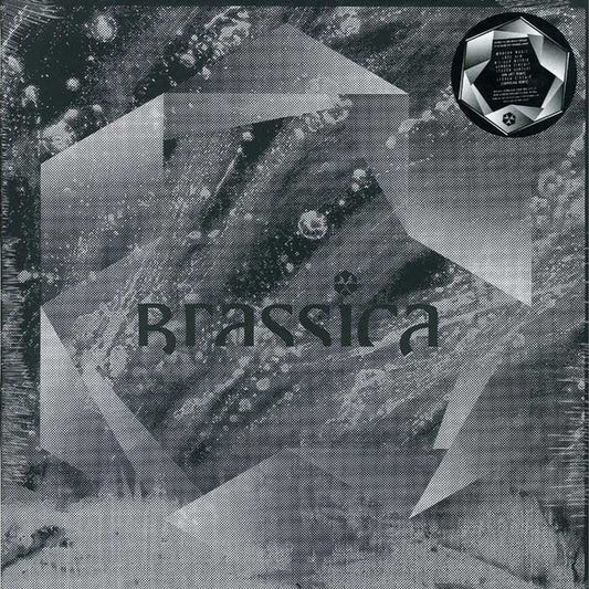 Brassica : Temple Fortune EP (12", EP)