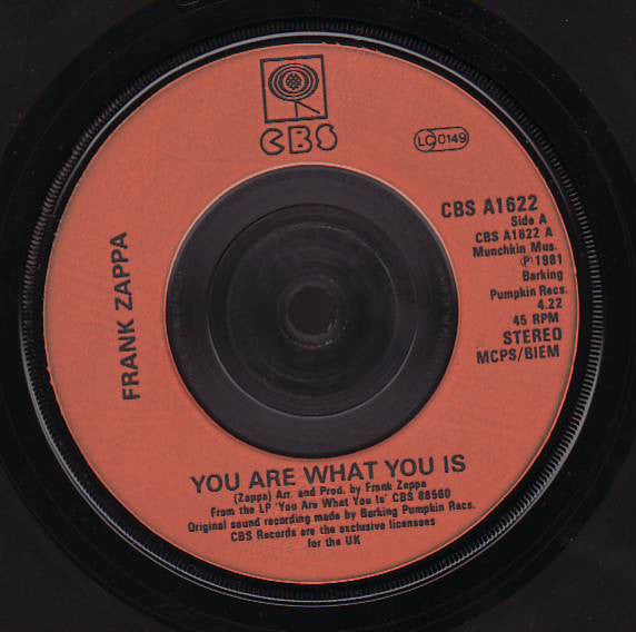 Zappa* : You Are What You Is (7", Single)