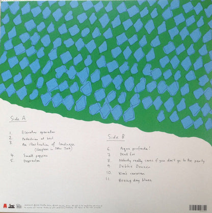 Courtney Barnett : Sometimes I Sit And Think, And Sometimes I Just Sit (LP, Album)