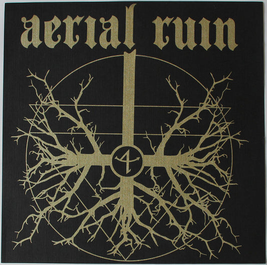 Aerial Ruin / Stevie Floyd : Aerial Ruin / Stevie Floyd (LP, Album)